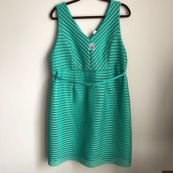 HOST PICK!!! Motherhood Maternity Green belted  jacquard dress - Picture 4 of 5